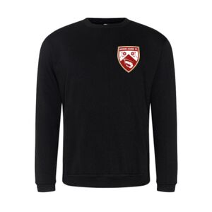 Pro RTX Pro Sweatshirt Thumbnail